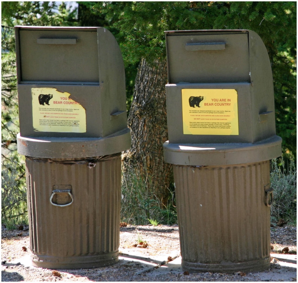 01 - Grand teton NP (23).jpg